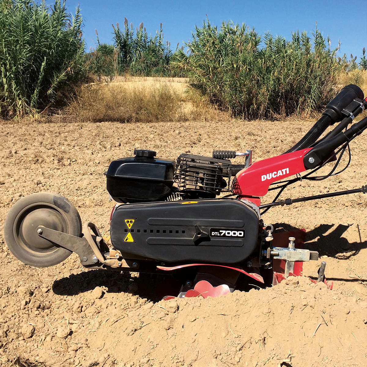 Motoazada Ducati, DTL 7000, 7Hp, Velocidades 2+1 con Tiller - Imagen 3