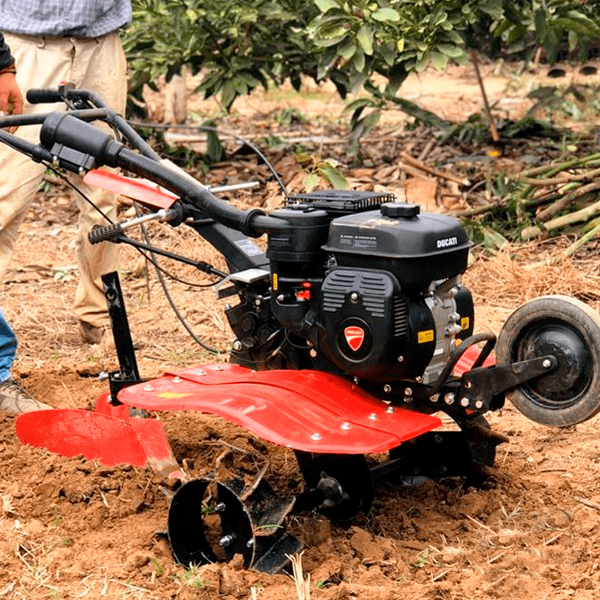 Motoazada Ducati, DTL 9000, 7Hp, Velocidades 3+1 con Tiller - Imagen 3